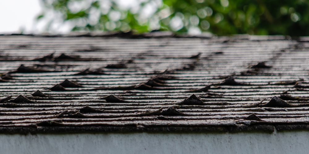 Roof Shingles Curling